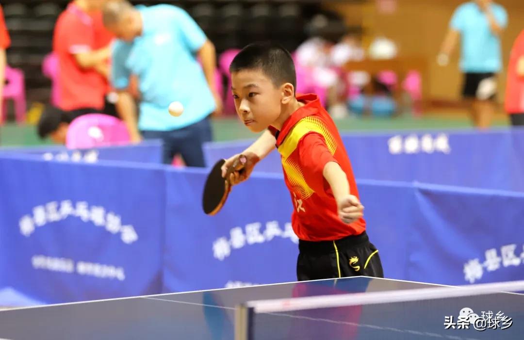 市运会朝阳区乒乓球比赛成绩,梅江镇乒乓球