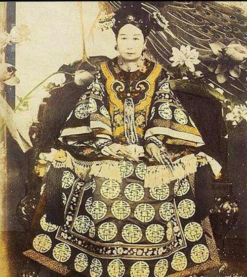 家养的鸟放生还能继续活下去吗,笼养鹦鹉放生能存活吗