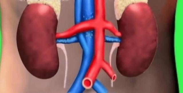 肾脏轻度萎缩的尿毒症治愈的案例,尿毒症脑病一般多长时间能治愈