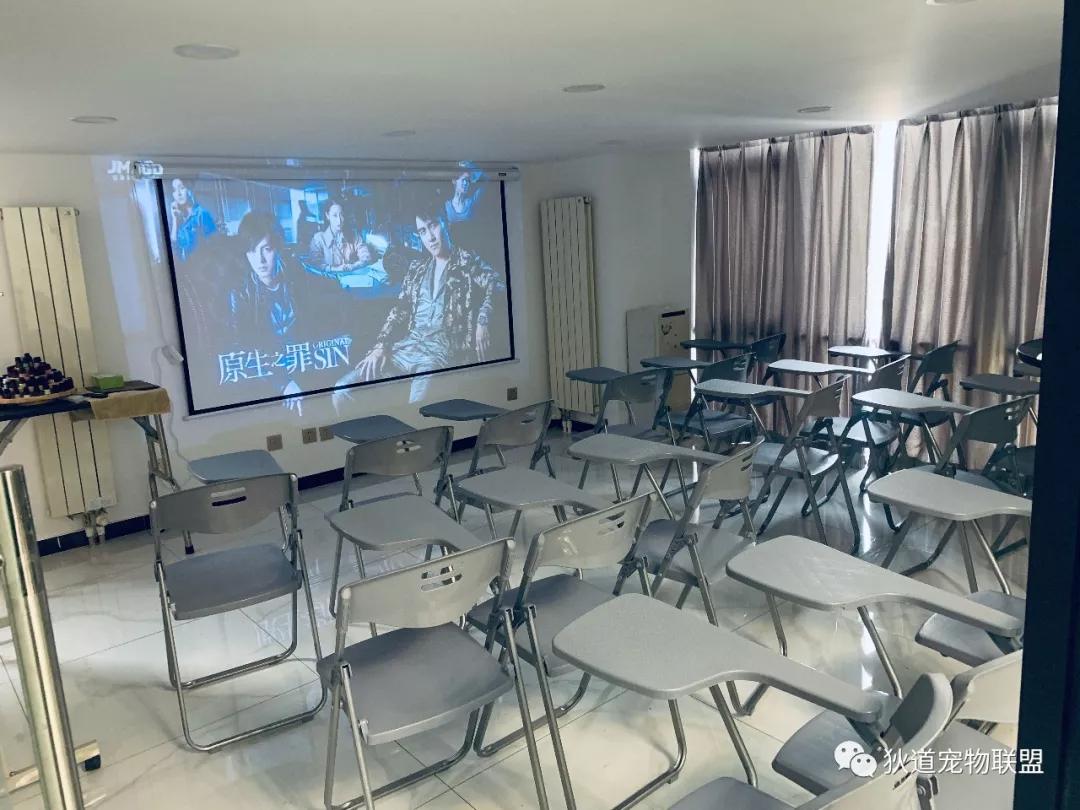 正规宠物培训学校价格多少,宠物培训学校北京哪家好