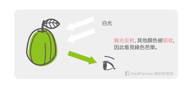 皮肤白里透红属于什么皮肤,白里透红的皮肤怎么打底