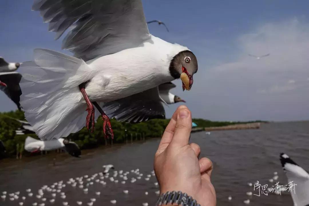 手把手教你成为摄影师,一步步教你做视频剪辑师