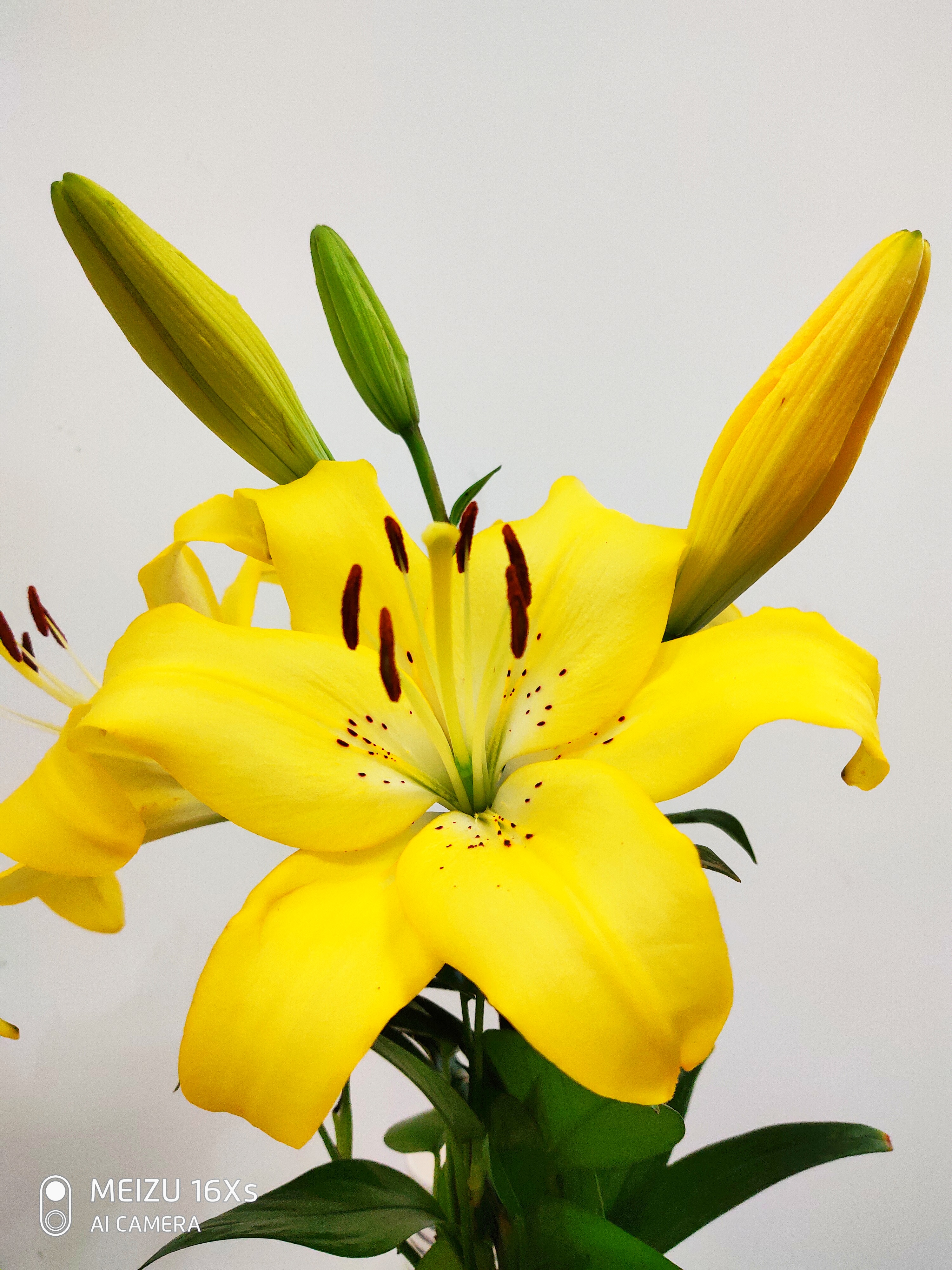 魅族16x深度测评,魅族16xs使用一年后的感受