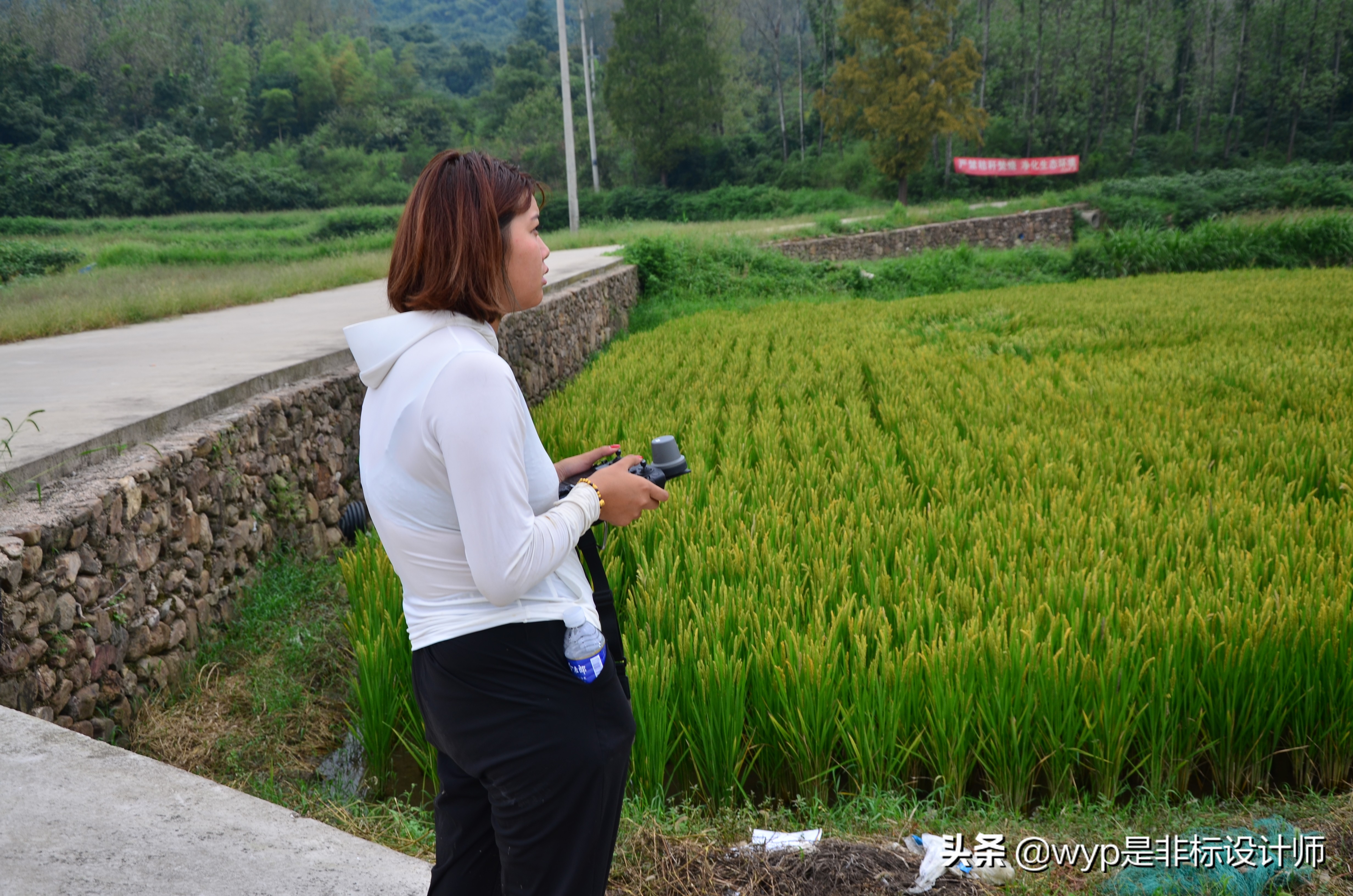 新型职业农民致富有高招,农村产业链致富新思路