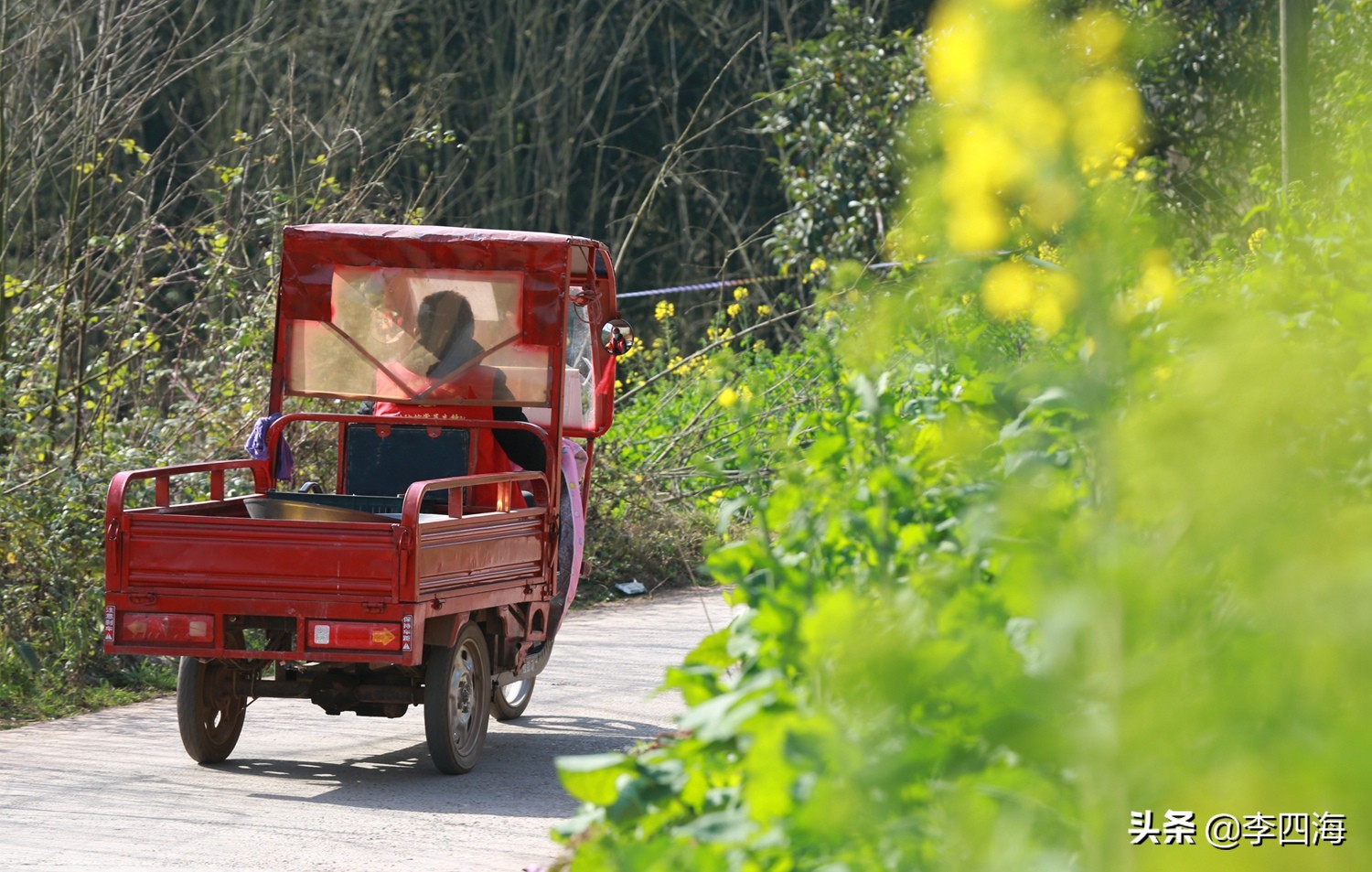 抗疫，这个乡镇140名“红马甲”服务居家隔离的3万群众