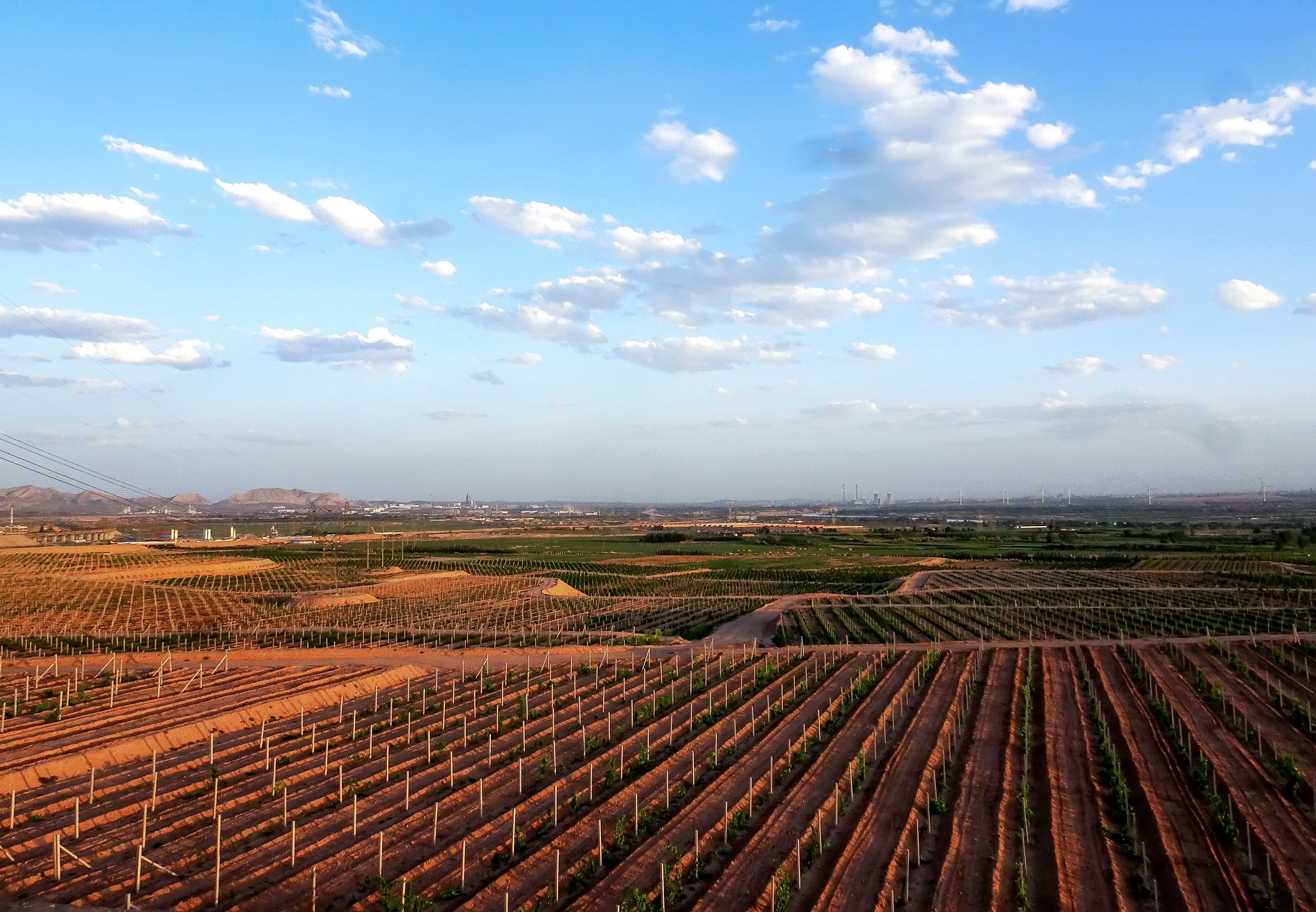 500欧红酒,500一瓶的红酒怎么样
