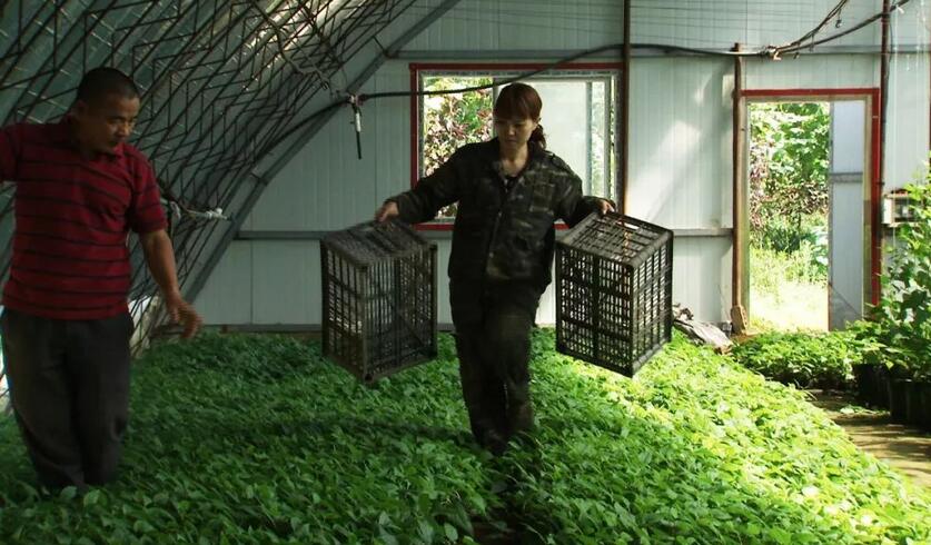 爱美单身女人8年闯出一片天地年赚百万实现财富逆袭