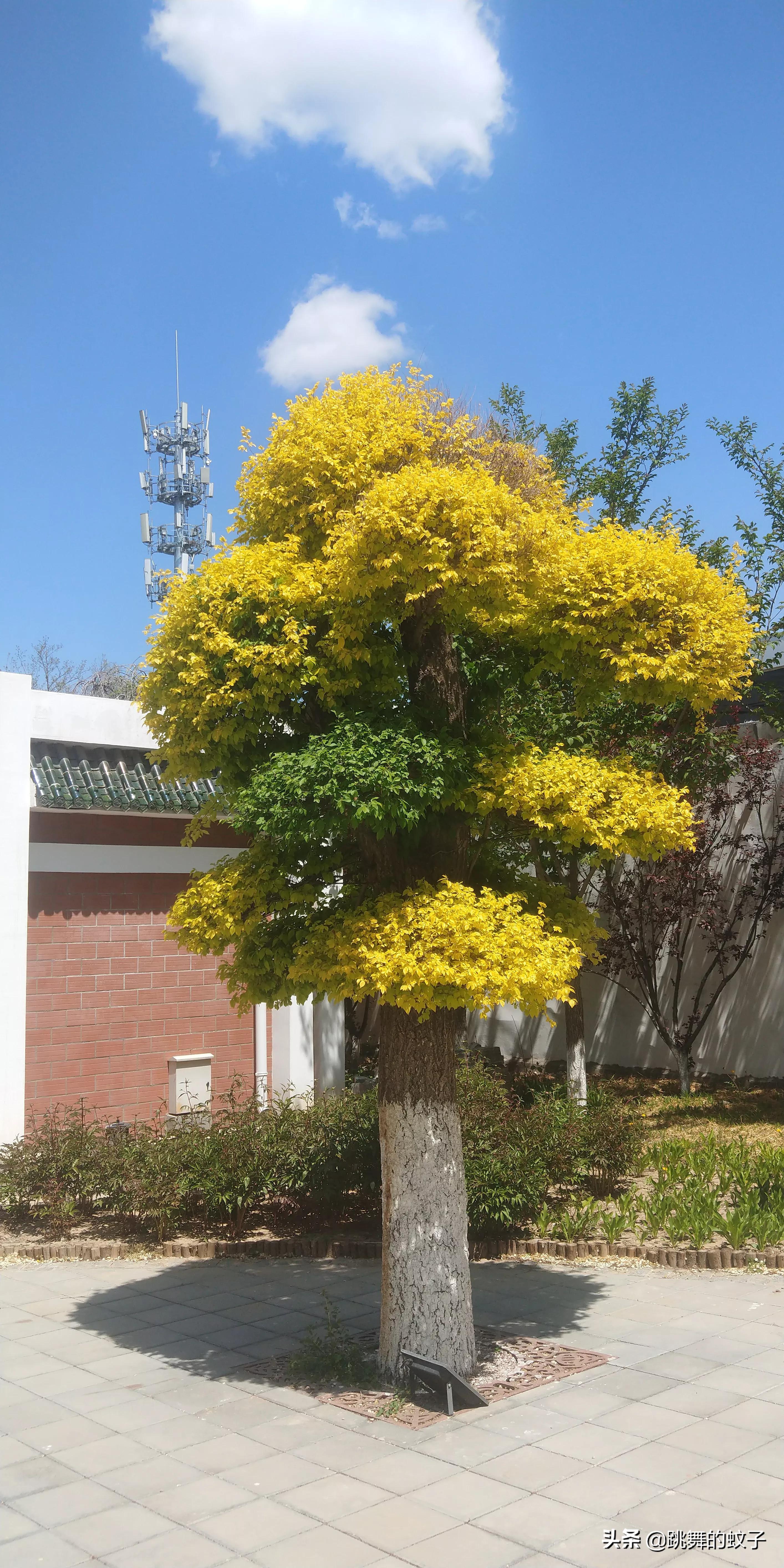京郊公园,京郊公园门票