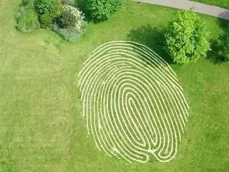 楼顶草坪花园设计效果图,花园草坪养护问题的成果概述