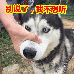 垃圾分类英语阅读理解,垃圾分类英语词汇以及句型