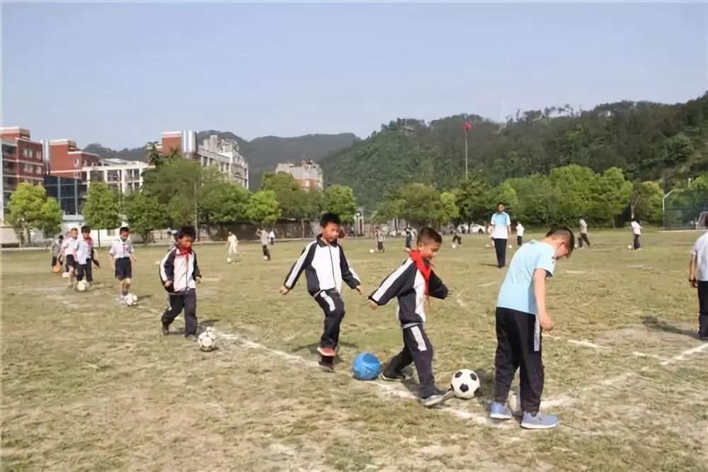 湖北省十堰市实验小学事件,湖北十堰小学发生伤亡事件