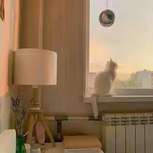 经过的荒芜，已埋葬在心—小熊经常不喝水，就变成了小熊饼干