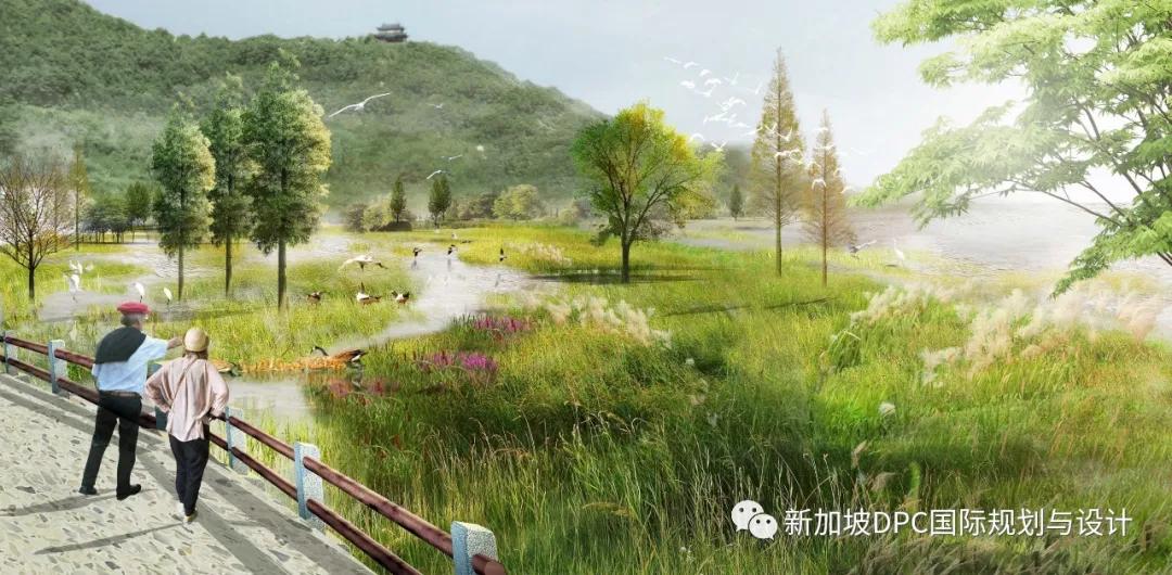 被盛赞“很精彩!很惊艳!很欣喜!”南充最美公园华丽来袭|DPC