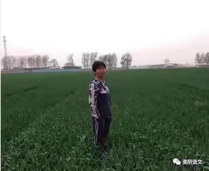 麦大夫人,麦大夫虫图片