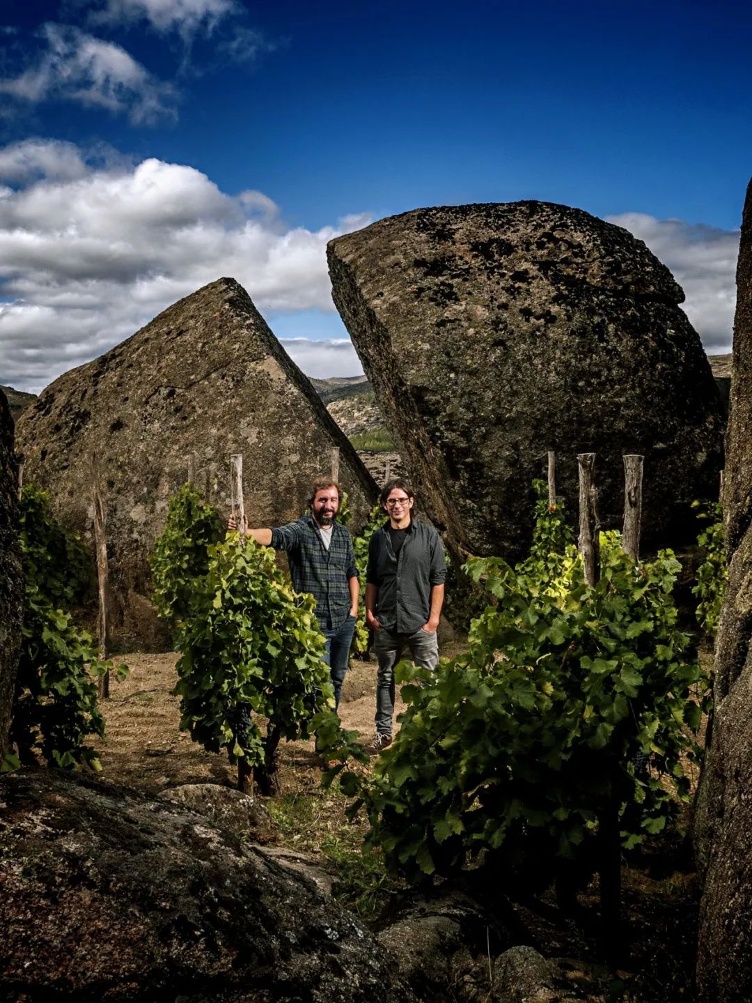 这场西班牙PK勃艮第品鉴，完全颠覆你对歌海娜的认知