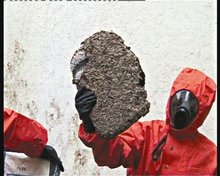 一米长小区阳台惊现巨型马蜂窝,钦州市马蜂窝