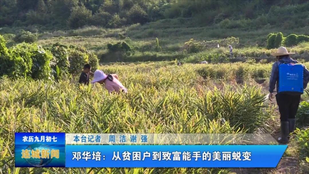 最美劳动者先进个人事迹,最美劳动者人物事迹湖北