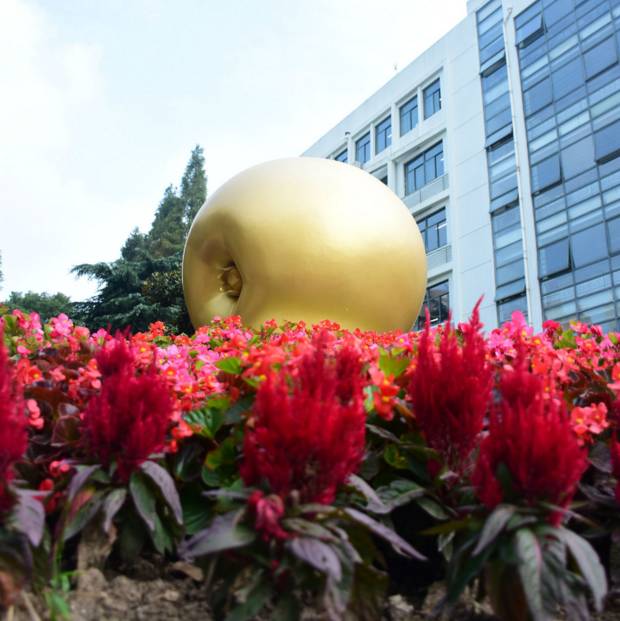 上海回不去的青春,上海市建平中学老照片