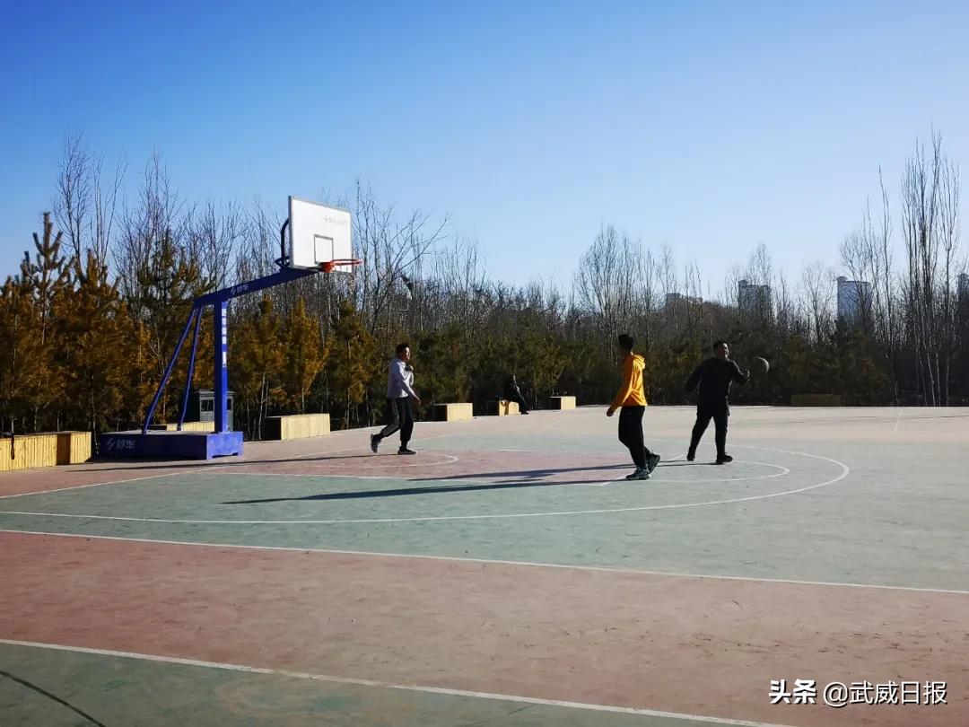 嘘！听说武威有棵树，四个人都抱不住