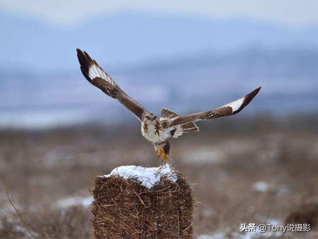 拍照片糊怎么办,拍照拍糊了怎么补救
