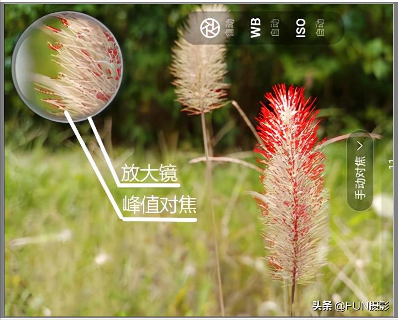 拍的照片太模糊看不清怎么办,对焦前模糊后清晰的照片怎么拍