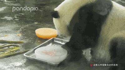 做塑料姐妹,真正的塑料姐妹是什么样的