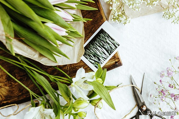 自己开店创业做什么,自己开店创业做什么吃的