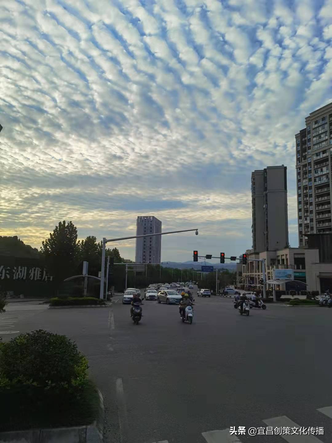 夷陵区哪个地段买房有投资前景好,宜昌市夷陵区房价排行榜