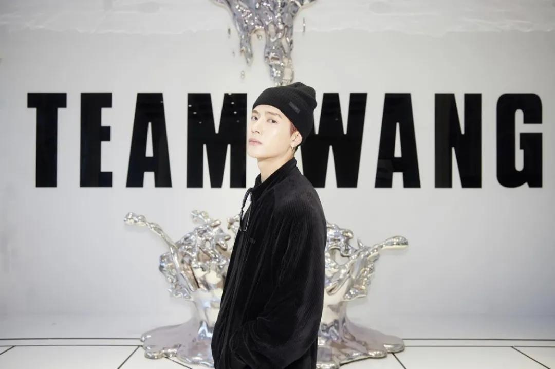 王嘉尔代言小众品牌,王嘉尔代言的品牌fendi小众