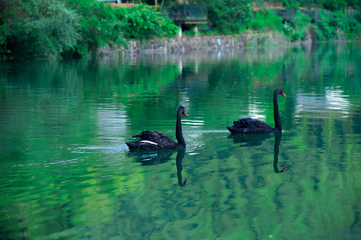 安吉哪个漂流最适合带孩子玩,安吉漂流亲子游攻略