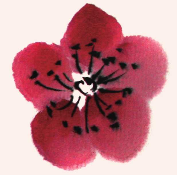 国画梅花花树的画法简单视频,写意花鸟画梅花的画法视频