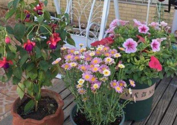 家里变废为宝的养花肥料,废旧油怎么处理最好