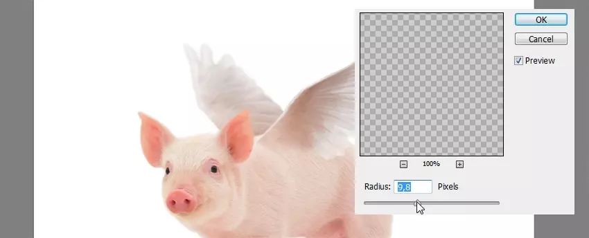 ps花仙子合成教程,ps合成狗狗教程