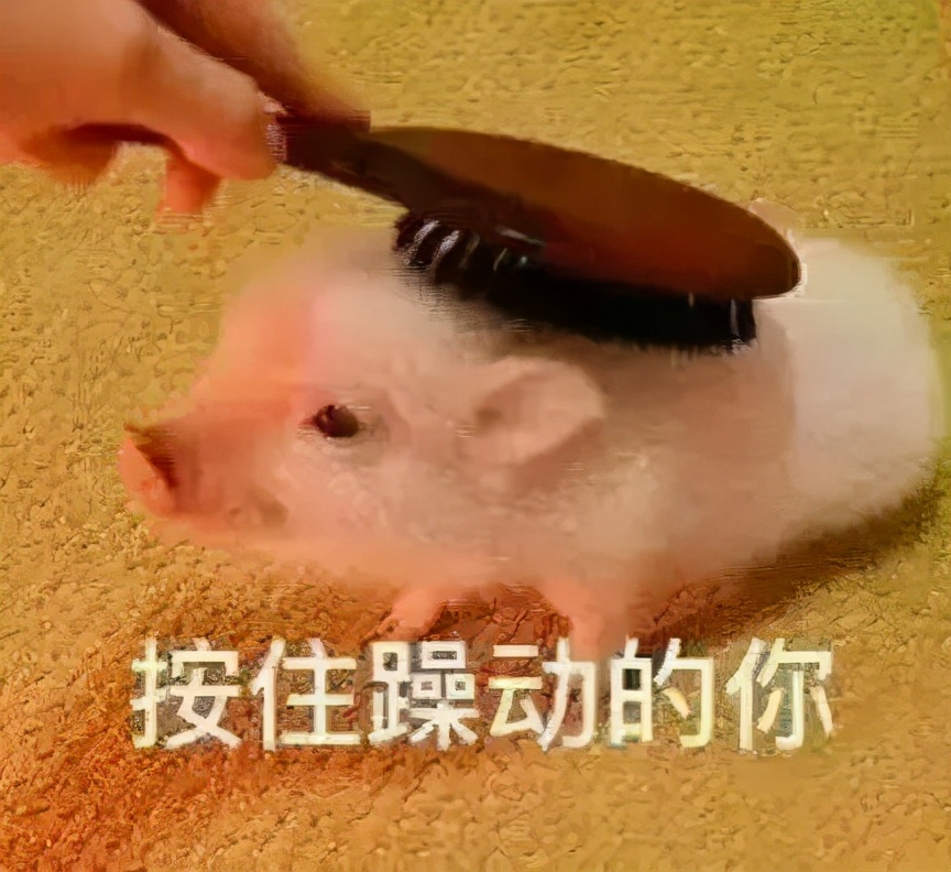 体毛多的优势是什么,体毛重的人可以刮吗