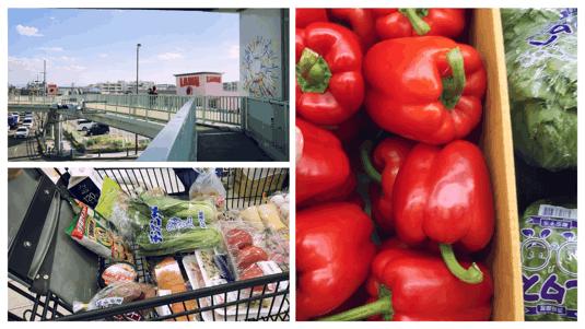 超级妈妈带娃日常生活,超级妈妈带5个孩子