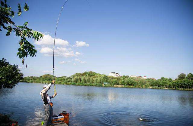 钓鱼用竿的技巧和方法,钓鱼新手入门短竿