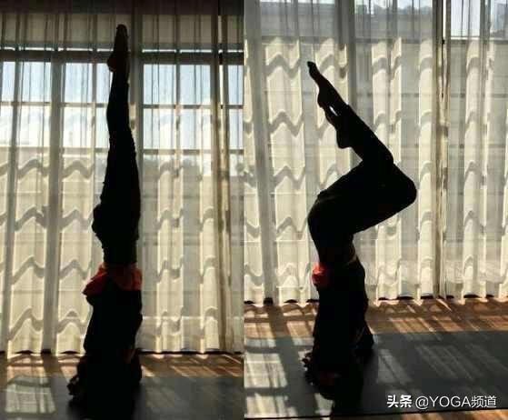 哈他瑜伽的25个体式图,哈他瑜伽26个体式