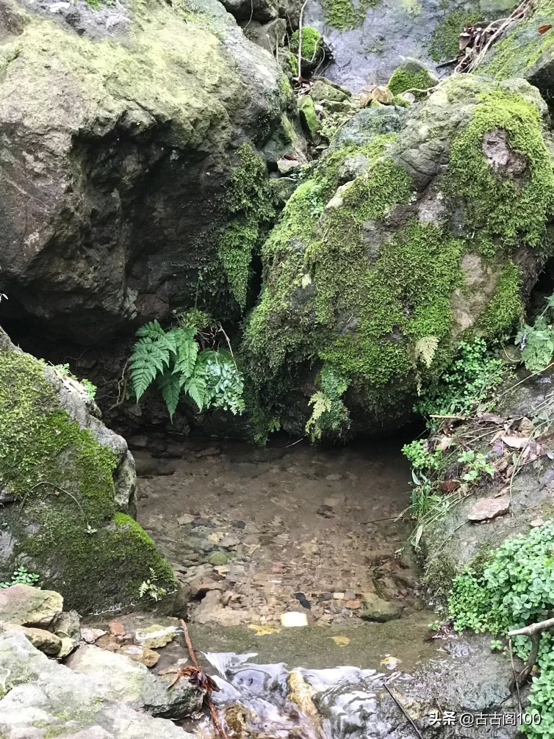 萧绍古道完整版,萧绍古道高度