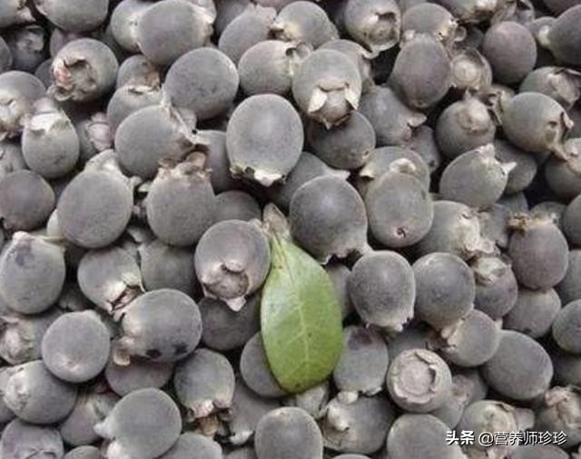 可用作泡酒的野生果子,什么东西泡酒对贫血好