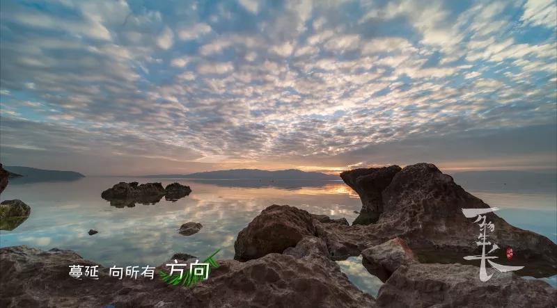 好听到起鸡皮疙瘩的英文歌,好听到起鸡皮疙瘩的翻唱歌曲