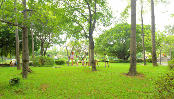 湿地公园菊展在哪,中山菊展一日游