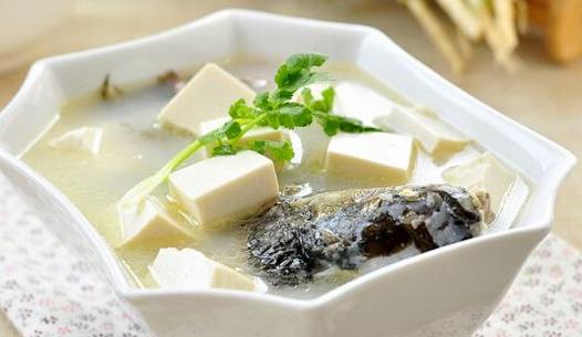 怀孕孕吐没胃口吃什么主食,孕妇孕吐严重吃不下饭怎么办