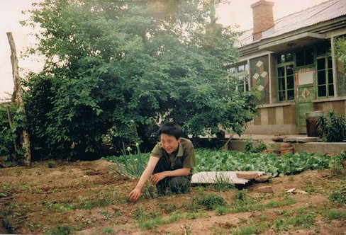 李玉刚跳过河,李玉刚有跳过河吗