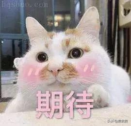 尖子山航电开建成都人以后可以在九眼桥坐船通江达海咯