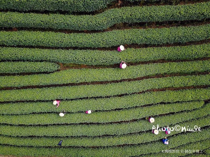 疫情结束后一定要打卡的小众景点,国内最美的小众地