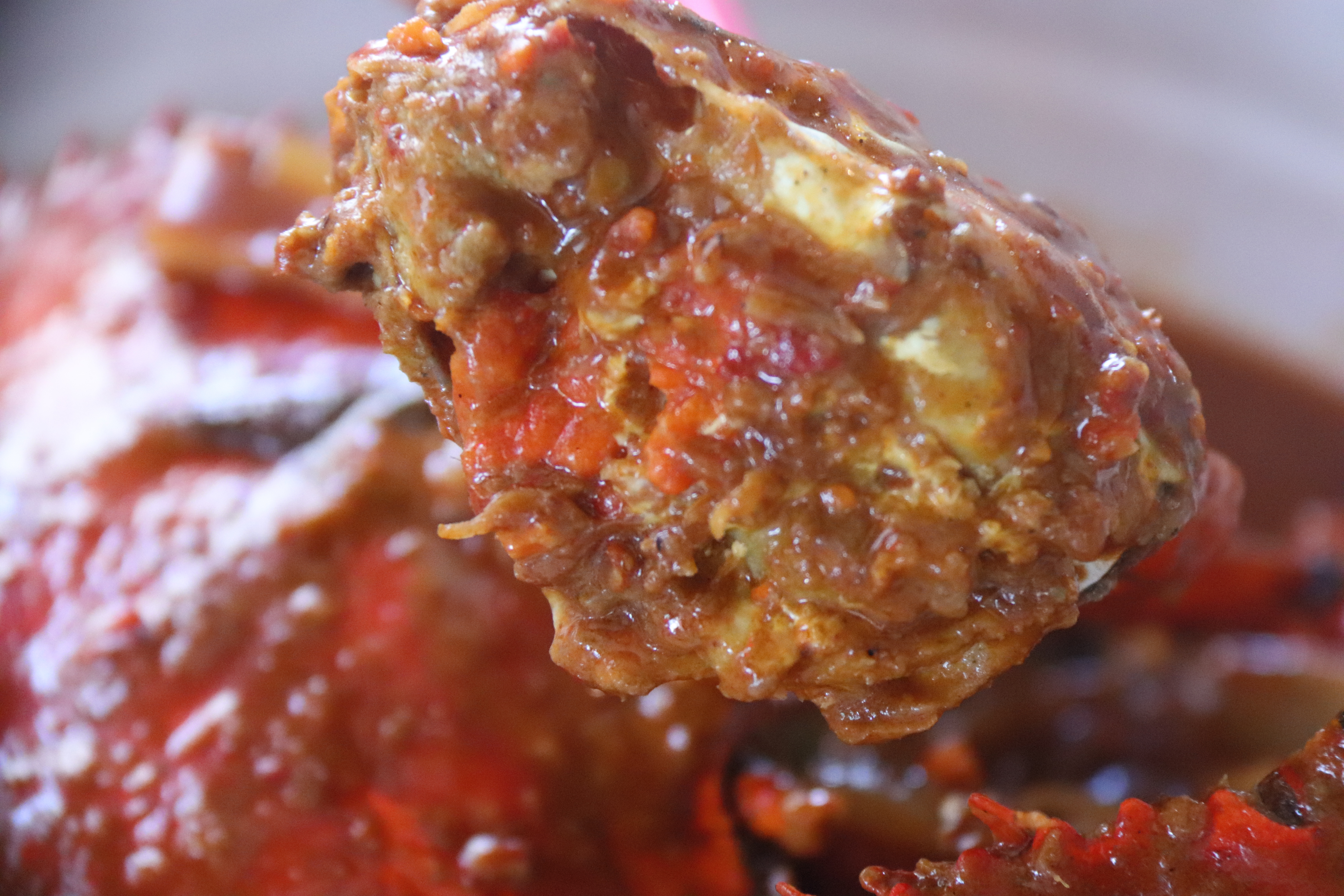 2018马来西亚之旅留影,2019回眸