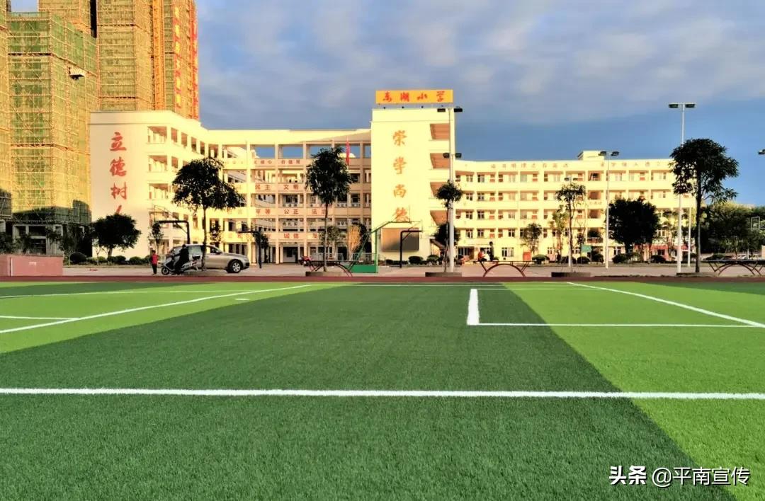 平南县教育,广西平南县教育