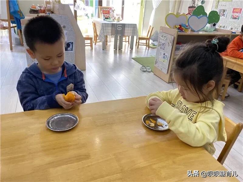 小班课程故事《好吃的桔子》