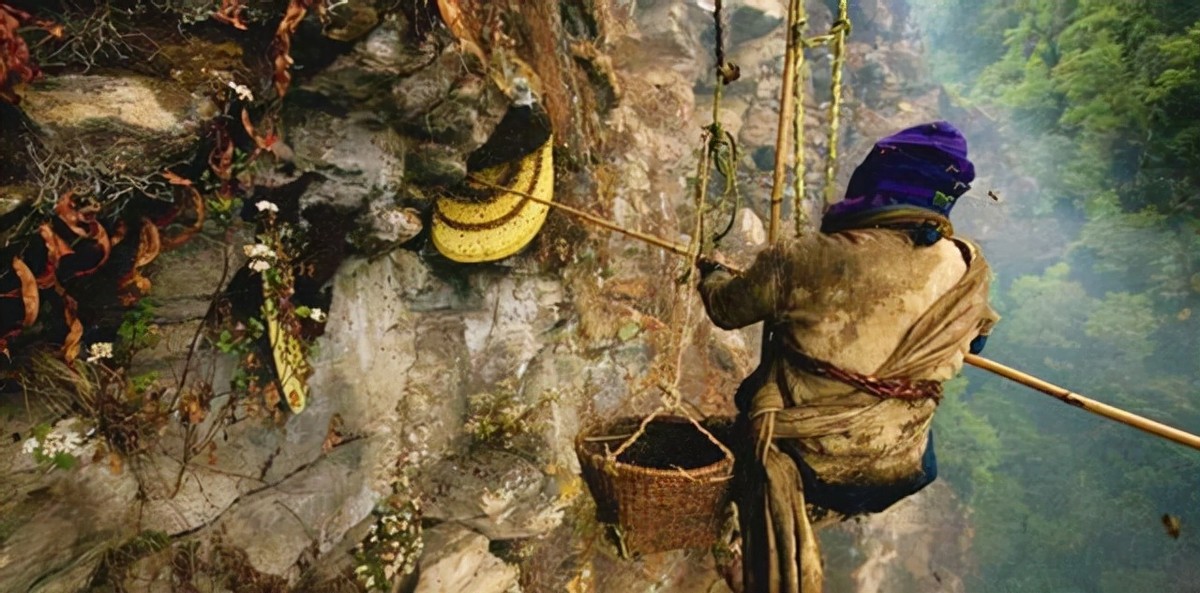 喜马拉雅采蜜人纪录片,喜马拉雅山采蜜