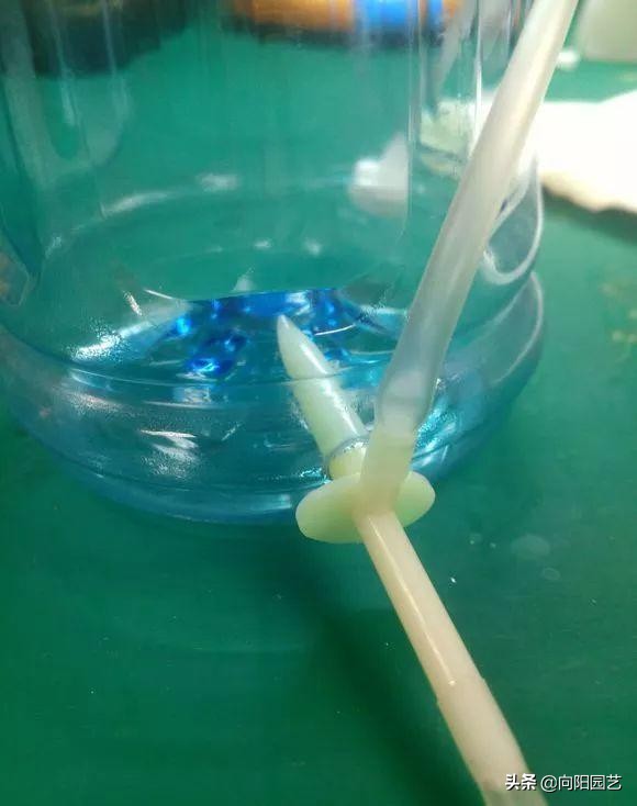 出差自制浇水神器,出外旅游自制浇花神器